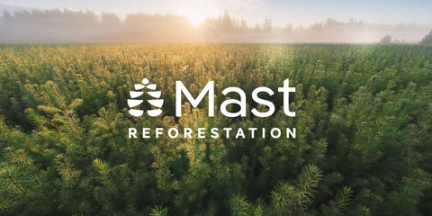 Mast Reforestation